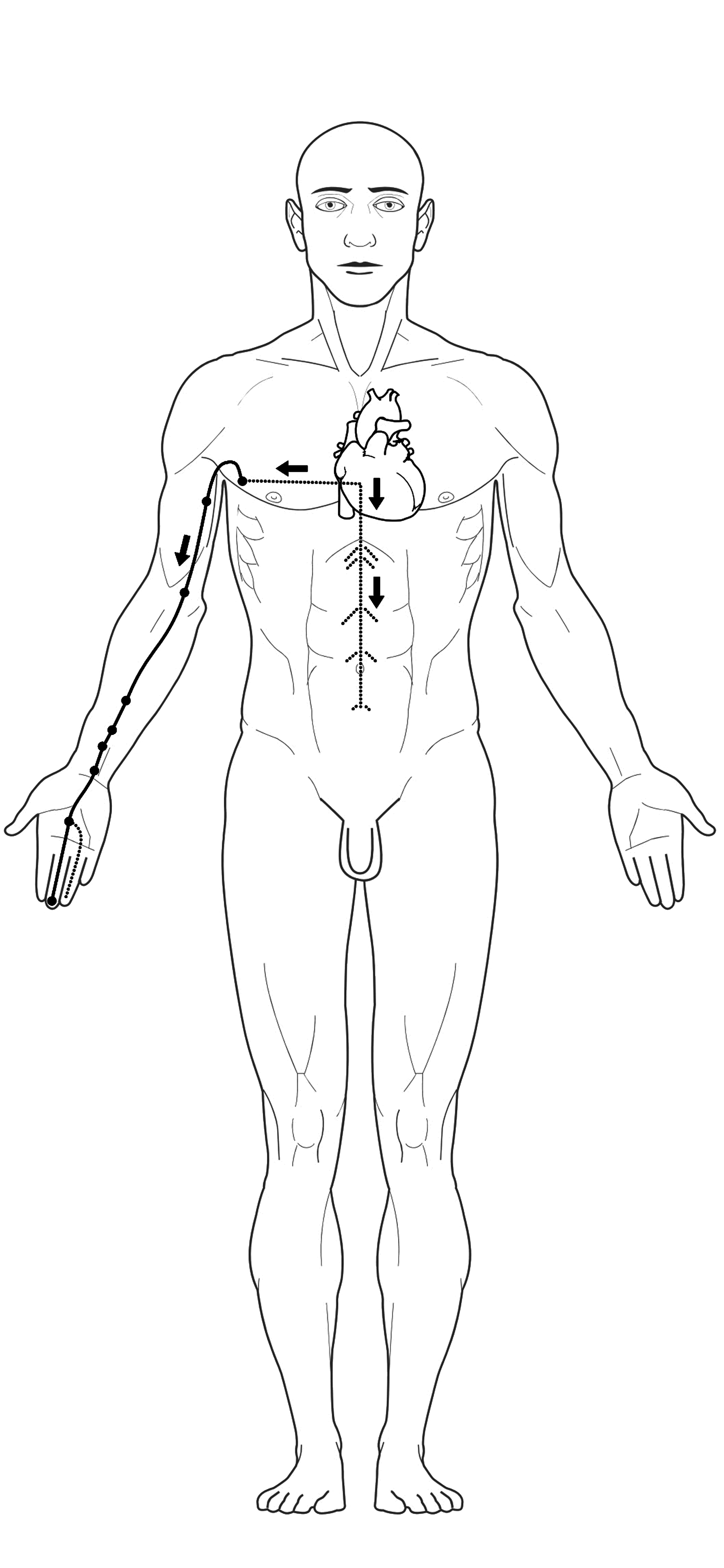 Acupuncture pericardium Meridian